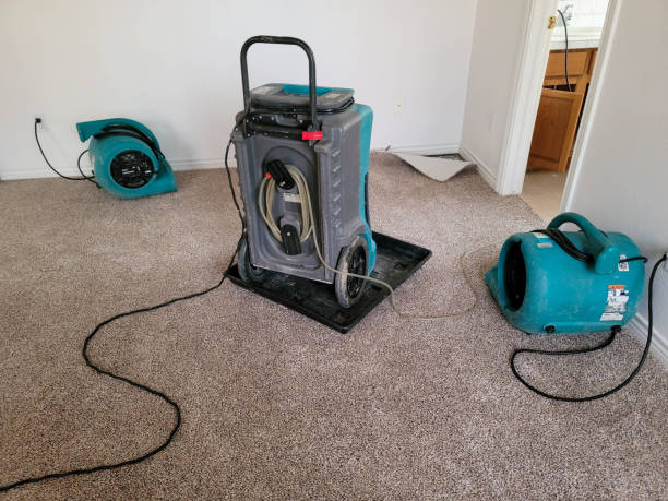 Best Water damage restoration insurance claims  in Meron Park, CA