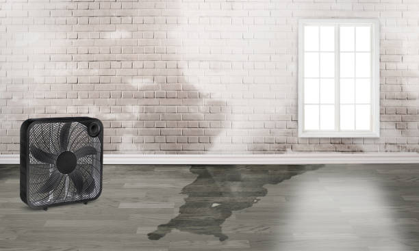 Best Sewage cleanup and water damage restoration  in Meron Park, CA
