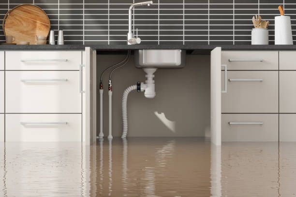 Best Flood damage cleanup  in Meron Park, CA