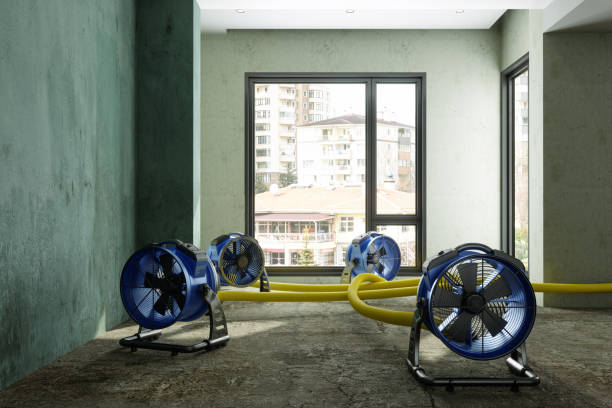 Best Professional water damage repair  in Meron Park, CA